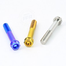Proti M10 Universal Bolt M10L60-OTB05 x1